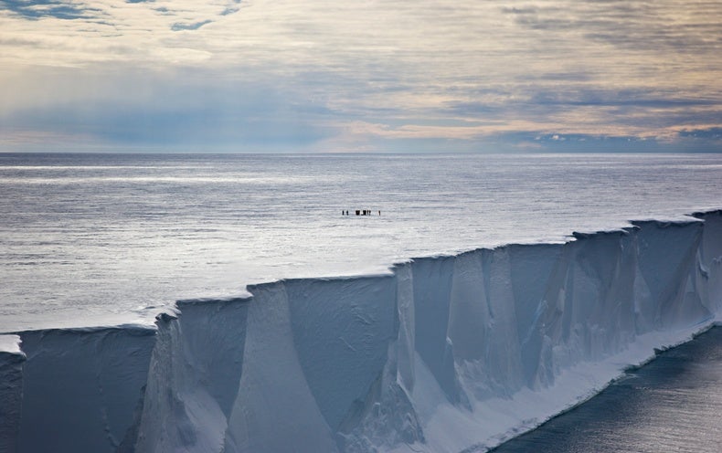 antarctic ice wall